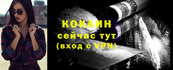 молекула духа Арсеньев