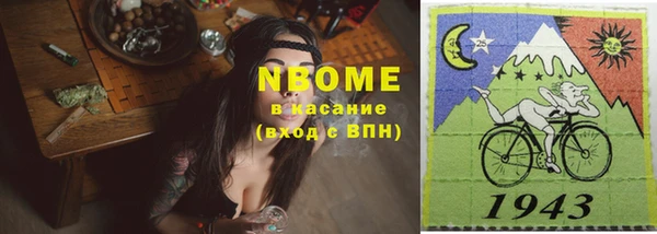 молекула духа Арсеньев