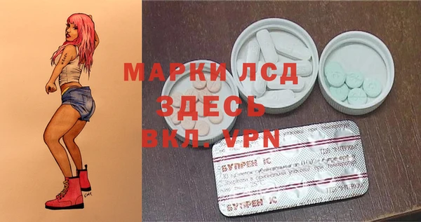 молекула духа Арсеньев
