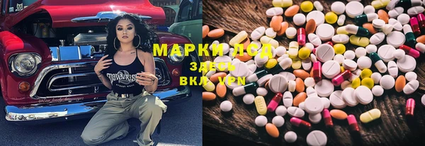 молекула духа Арсеньев