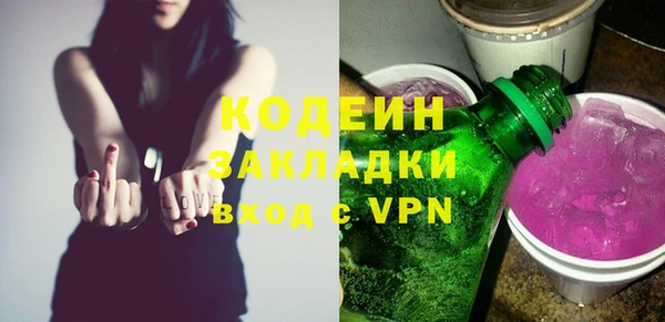 молекула духа Арсеньев