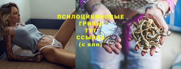 молекула духа Арсеньев